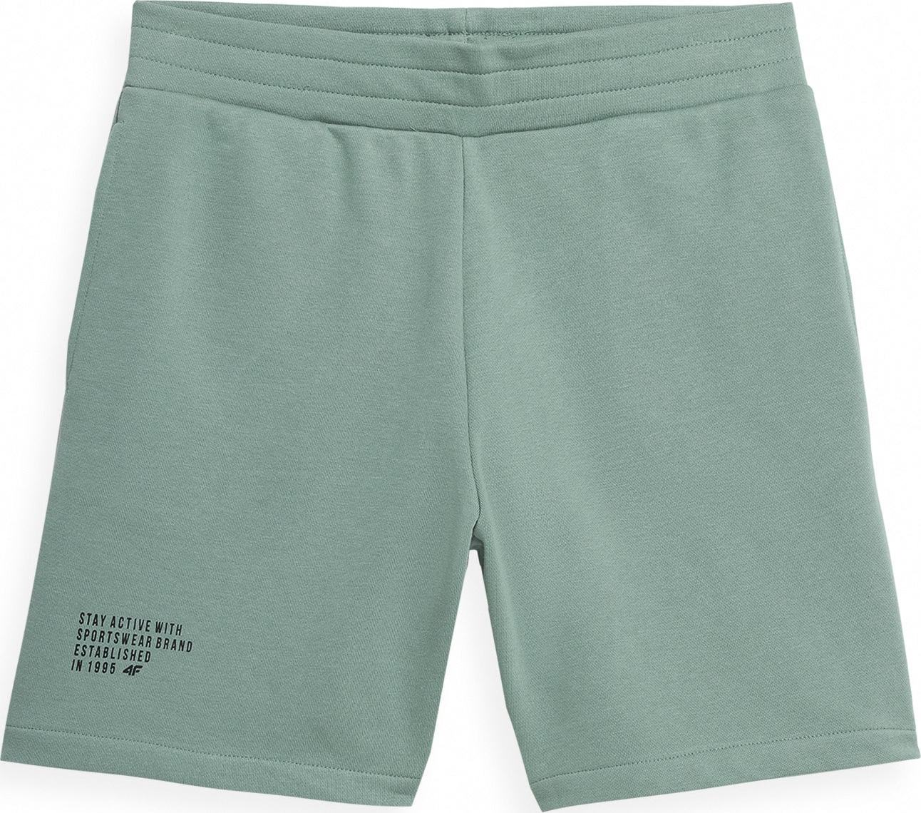 4F Sportovní kalhoty 'SKMD015' zelená