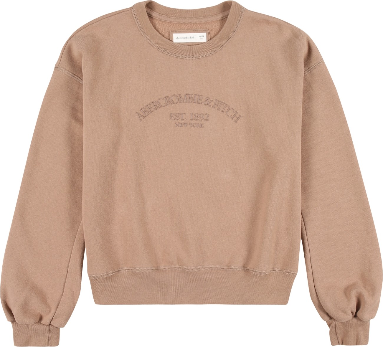 Abercrombie & Fitch Mikina hnědá