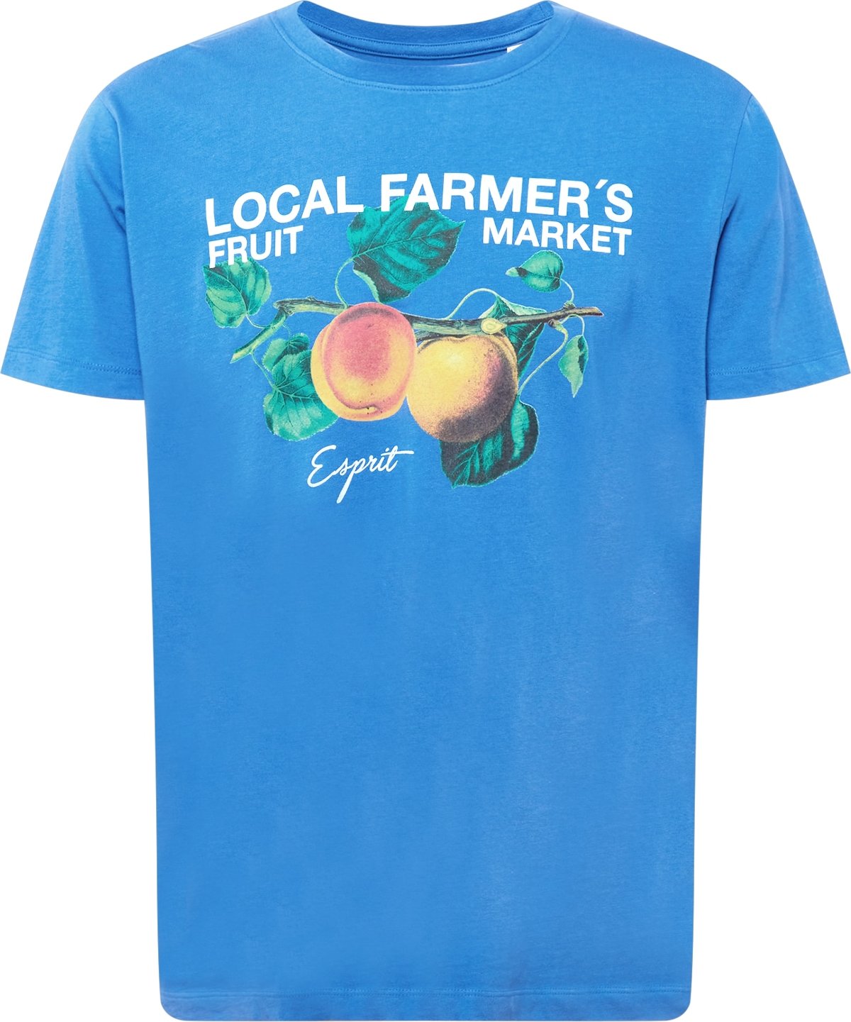 ESPRIT Tričko azurová / zelená / oranžová / bílá