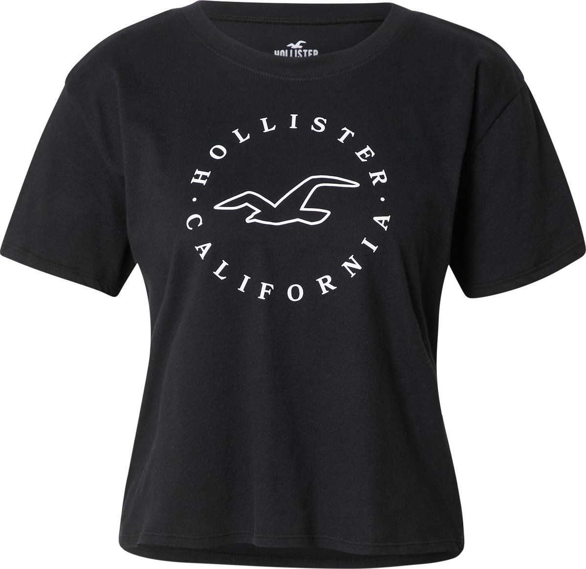 HOLLISTER Tričko černá / bílá