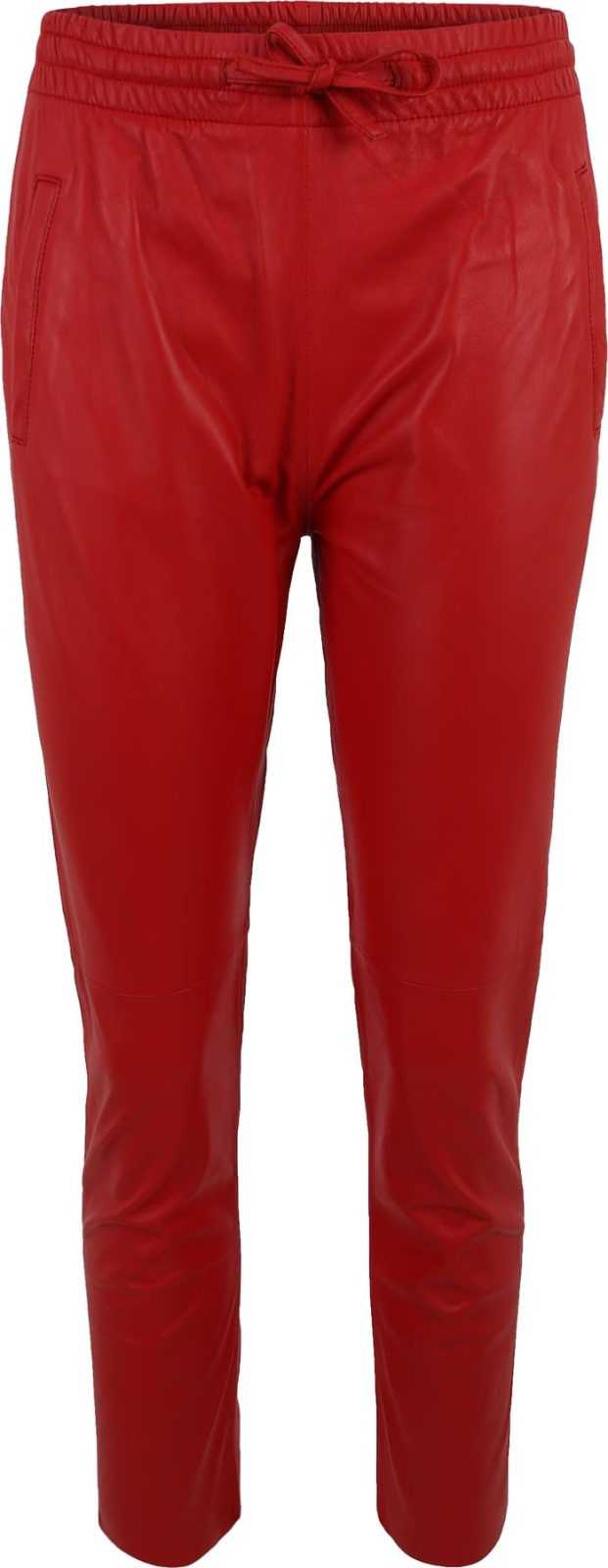 OAKWOOD Kalhoty 'GIFT' tmavě červená