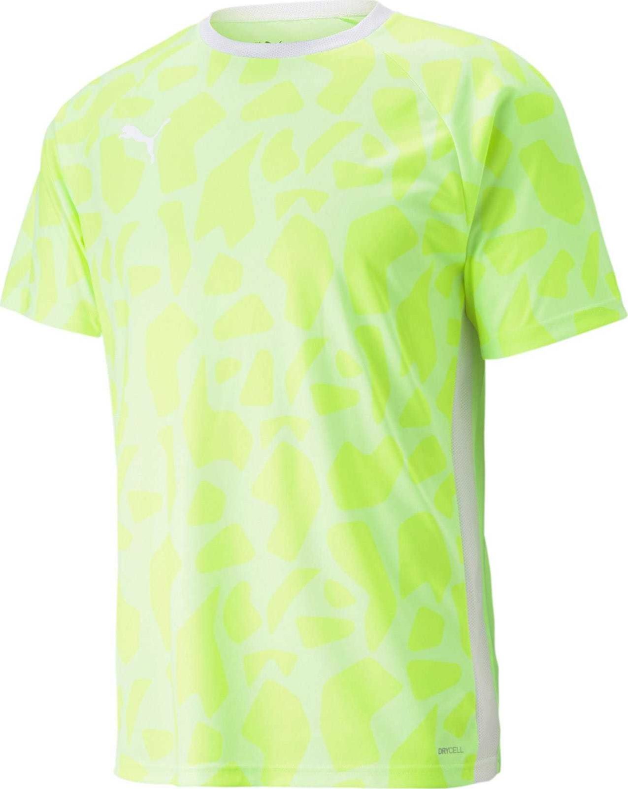 PUMA Funkční tričko 'TeamLIGA' pastelově zelená / světle zelená / bílá