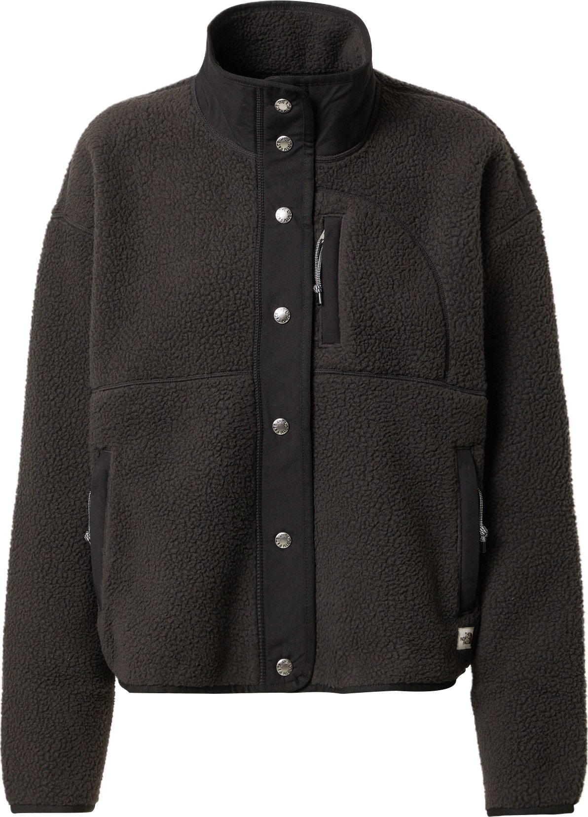 THE NORTH FACE Funkční fleecová mikina 'CRAGMONT' černá