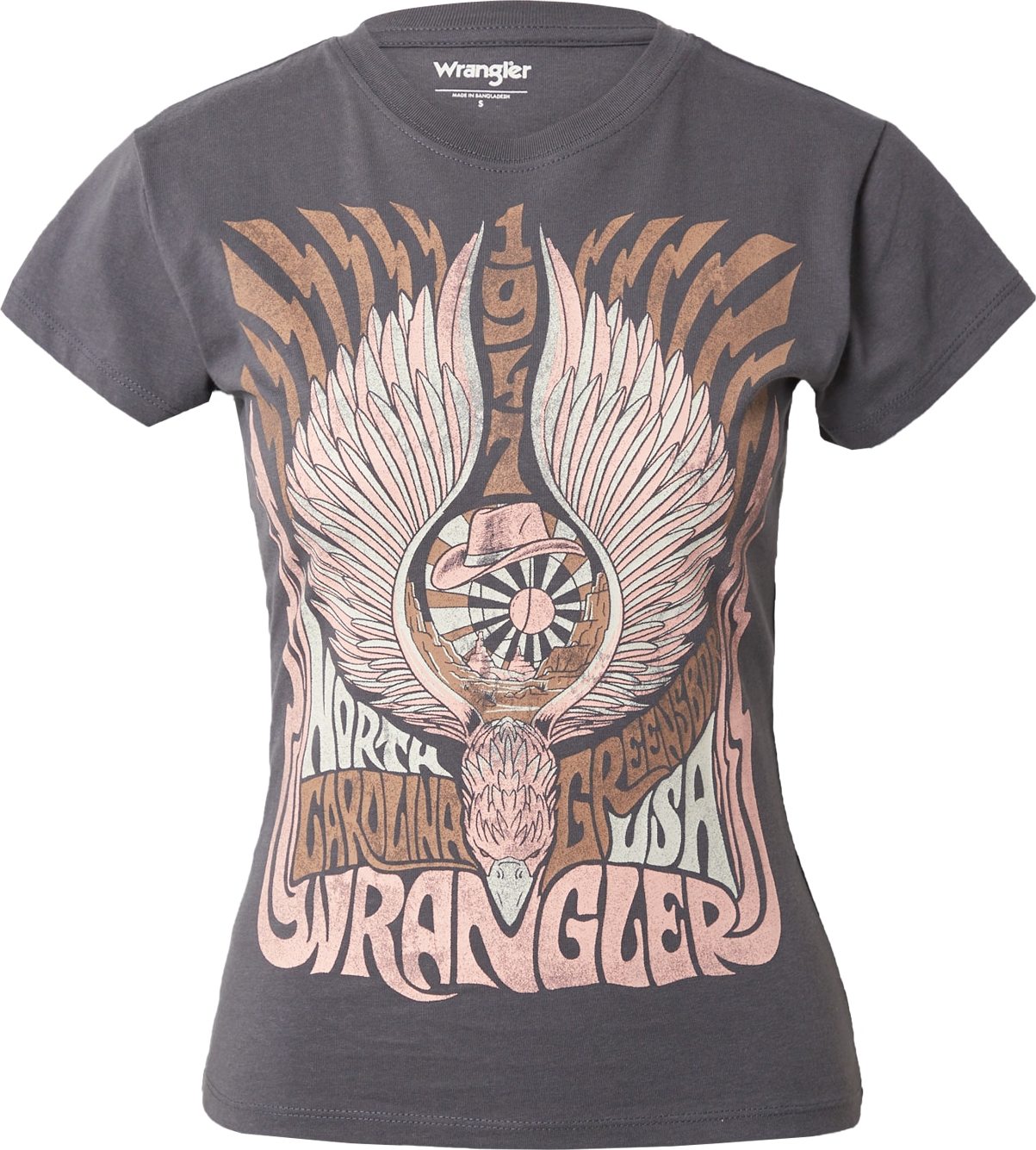 WRANGLER Tričko 'SHRUNKEN BAND' tělová / hnědá / tmavě šedá / mátová