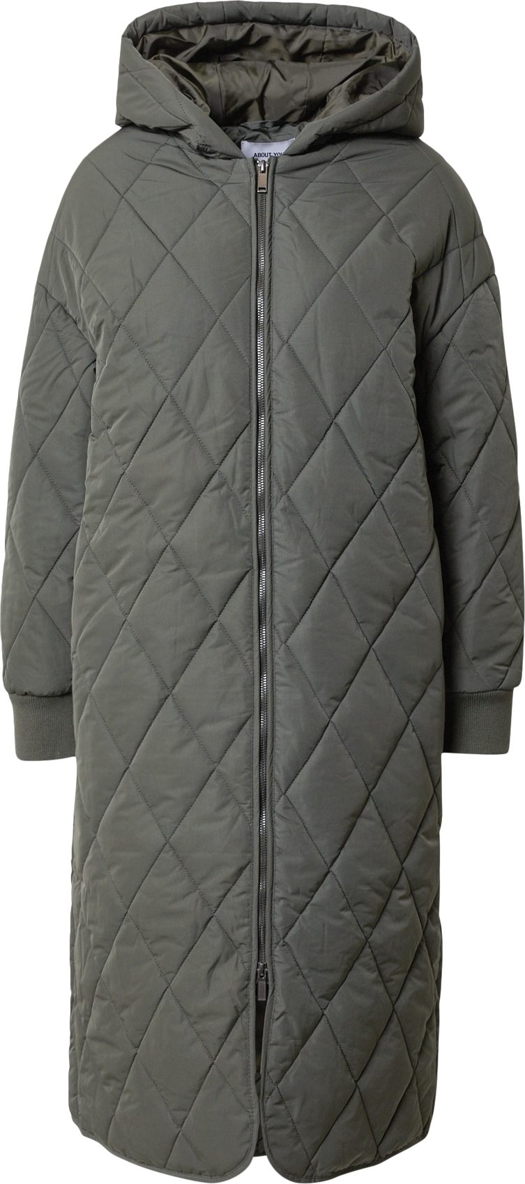 ABOUT YOU Přechodný kabát 'Darja' zelená