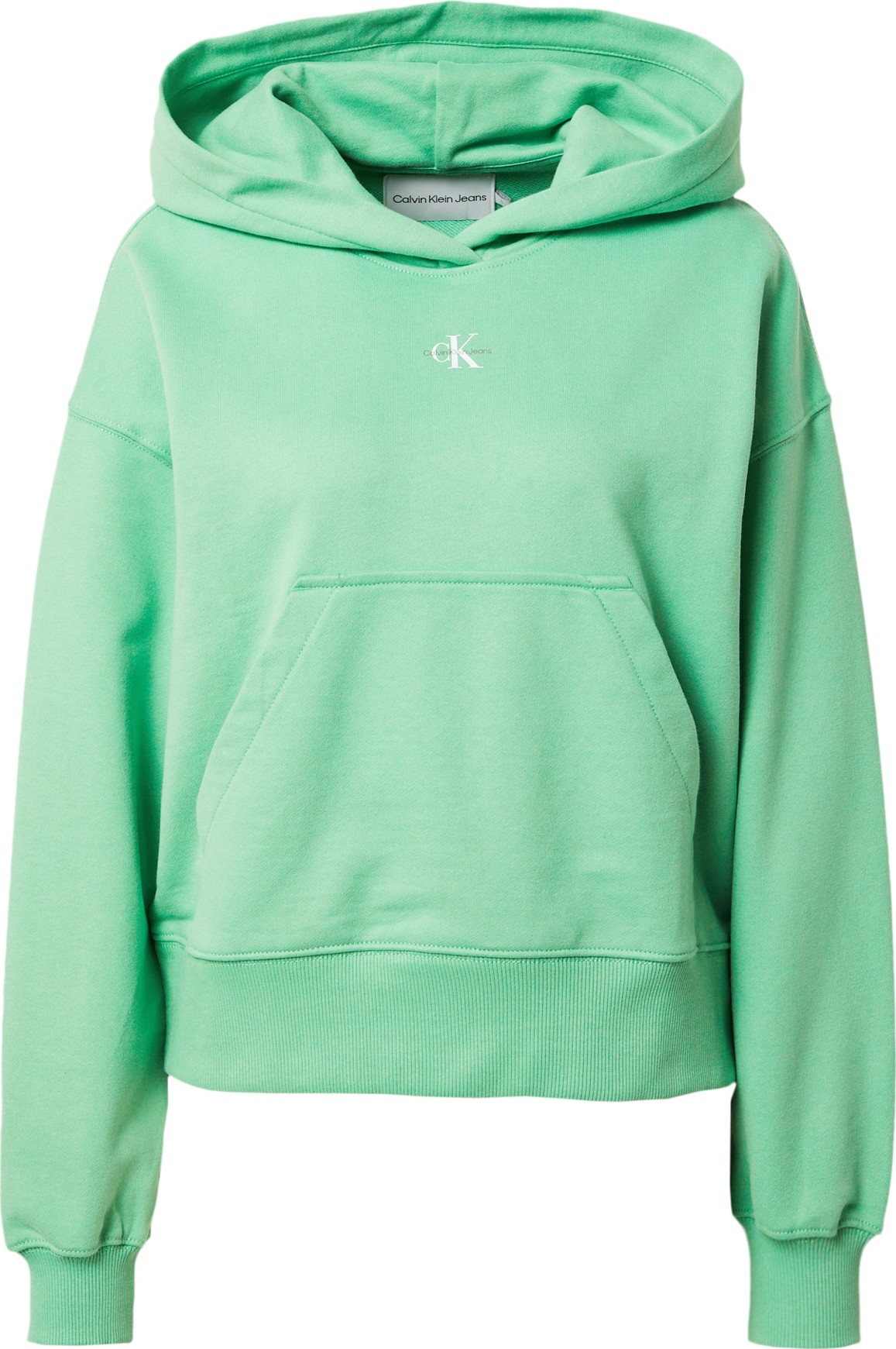 Calvin Klein Jeans Mikina čokoládová / světle zelená / bílá