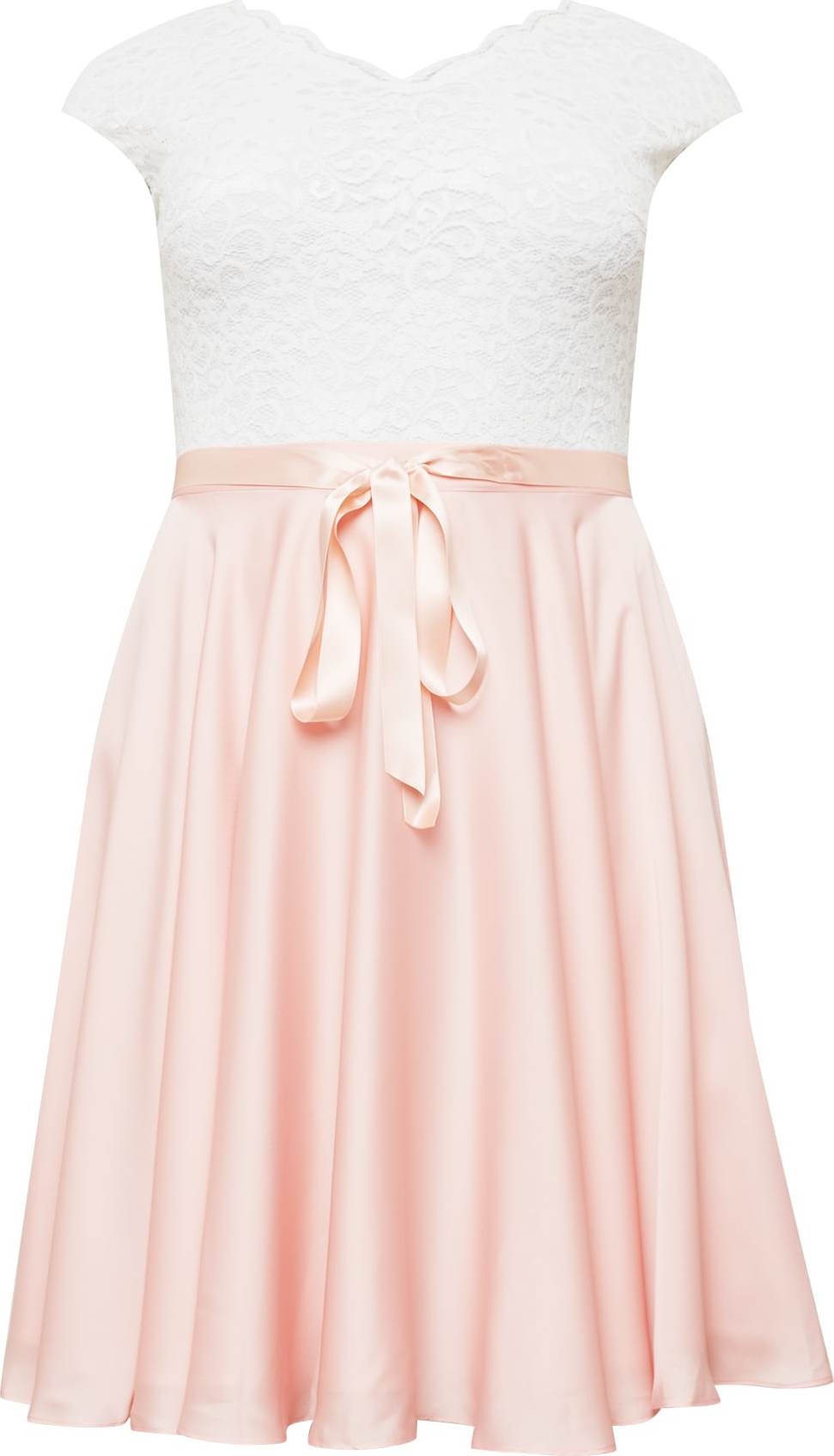 SWING Curve Koktejlové šaty růže / bílá
