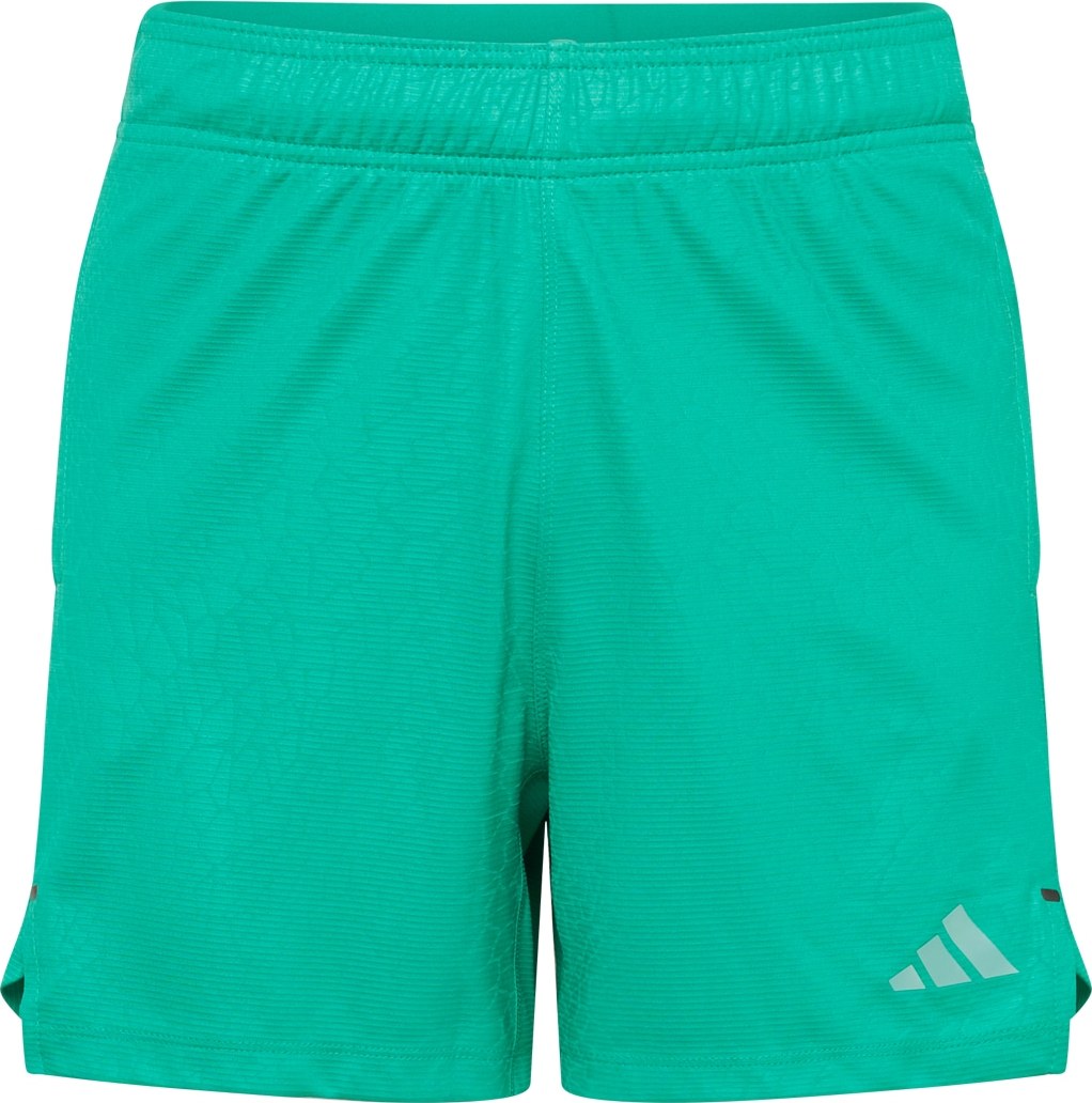 ADIDAS PERFORMANCE Sportovní kalhoty stříbrně šedá / zelená