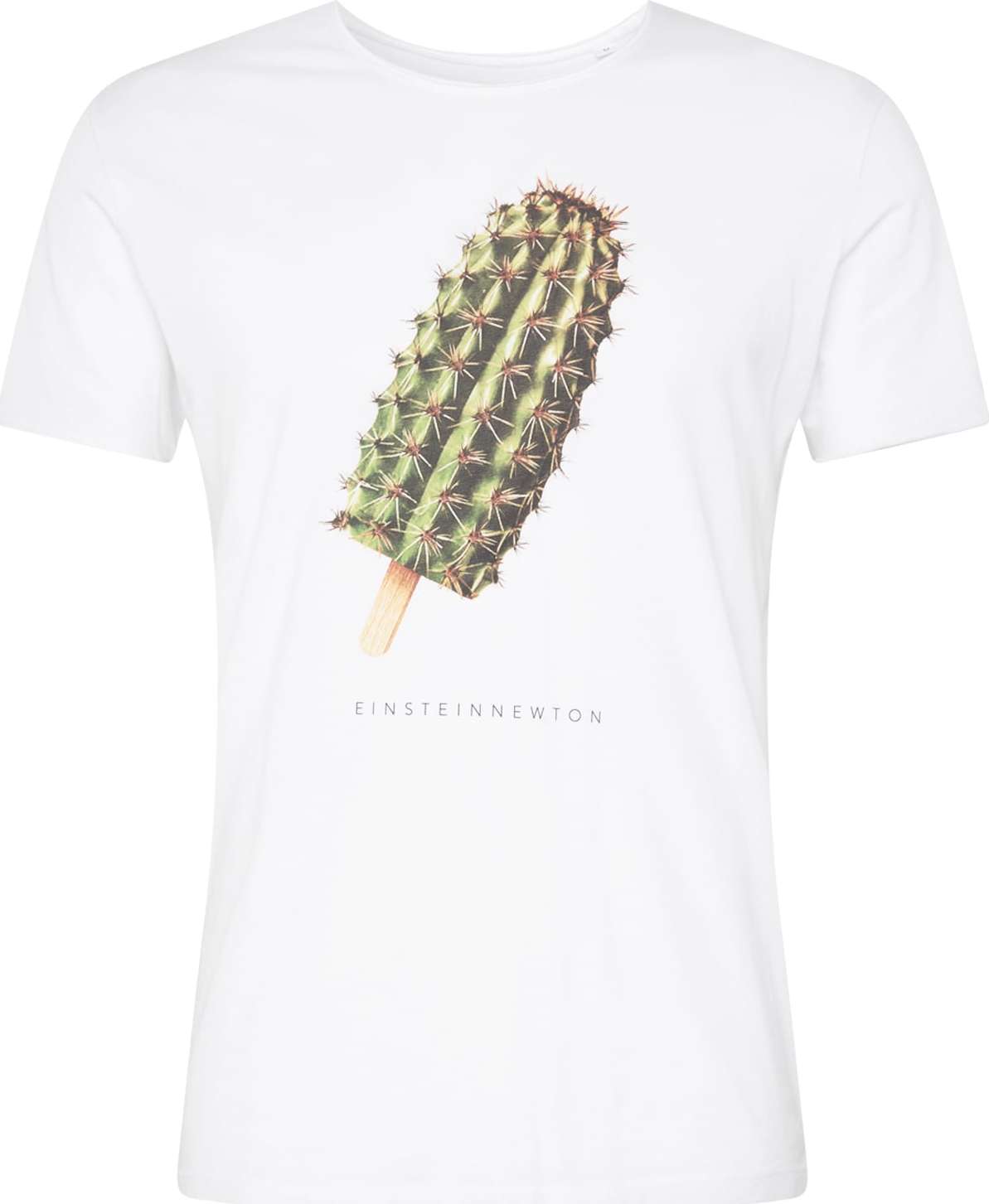 EINSTEIN & NEWTON Tričko 'Cactus Ice' hnědá / zelená / černá / bílá
