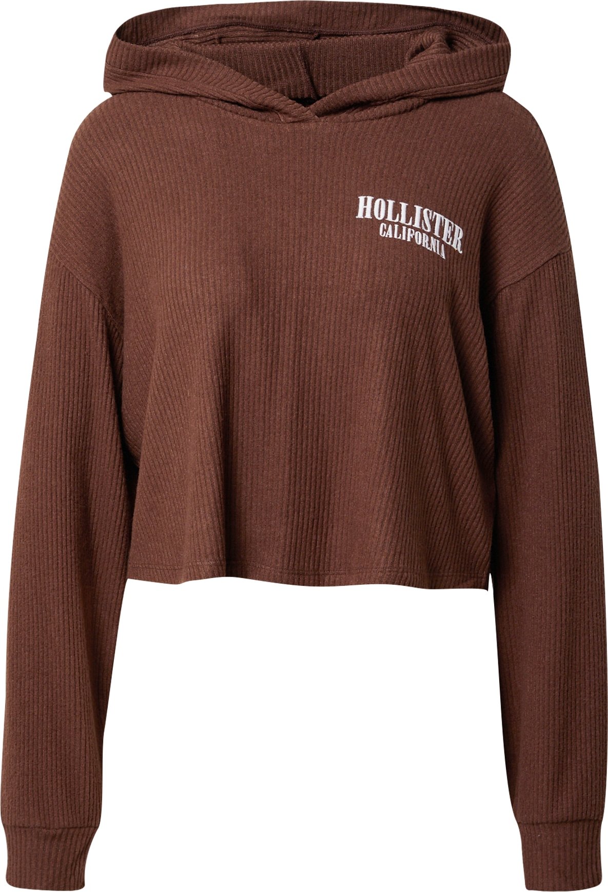 HOLLISTER Tričko hnědá / bílá