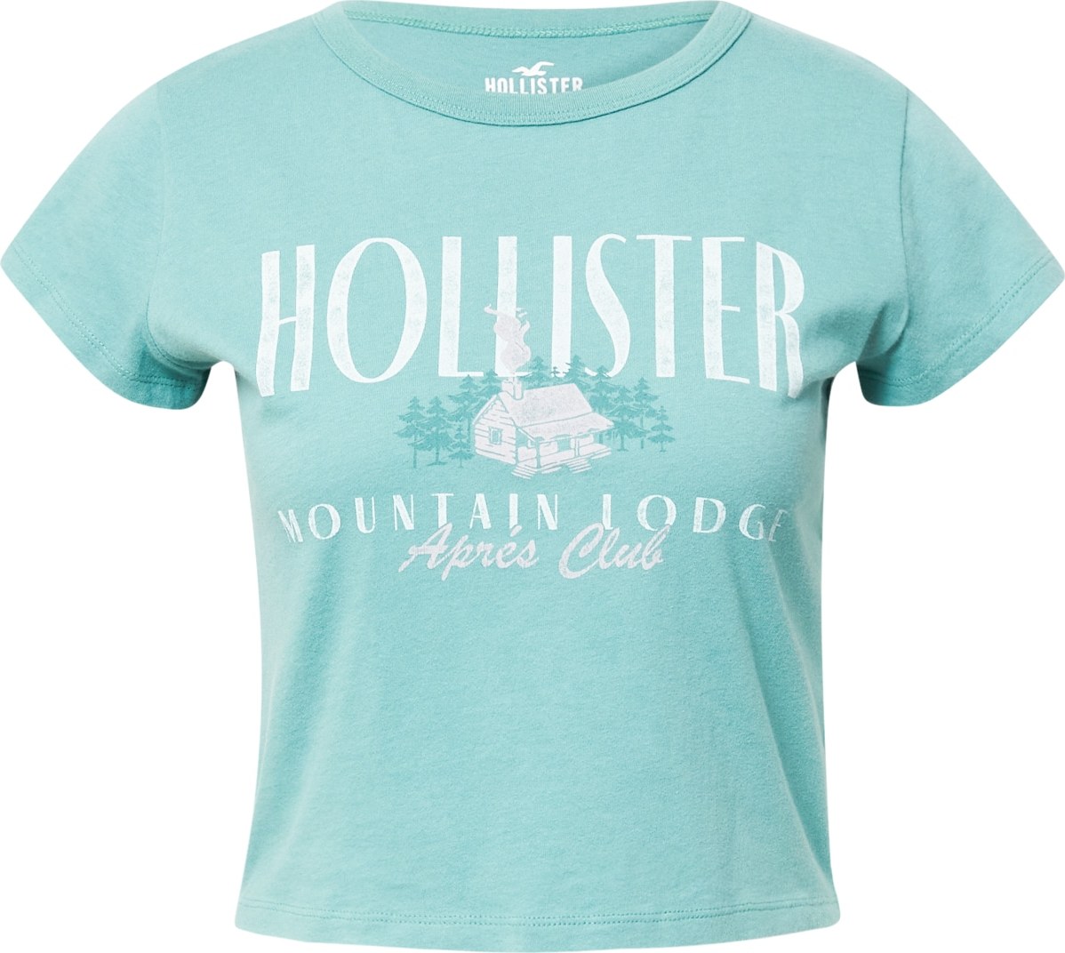 HOLLISTER Tričko mátová / bílá