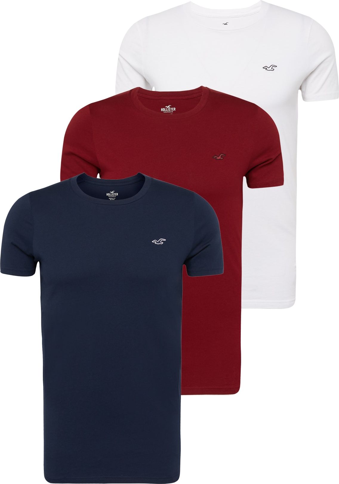 HOLLISTER Tričko námořnická modř / tmavě červená / bílá