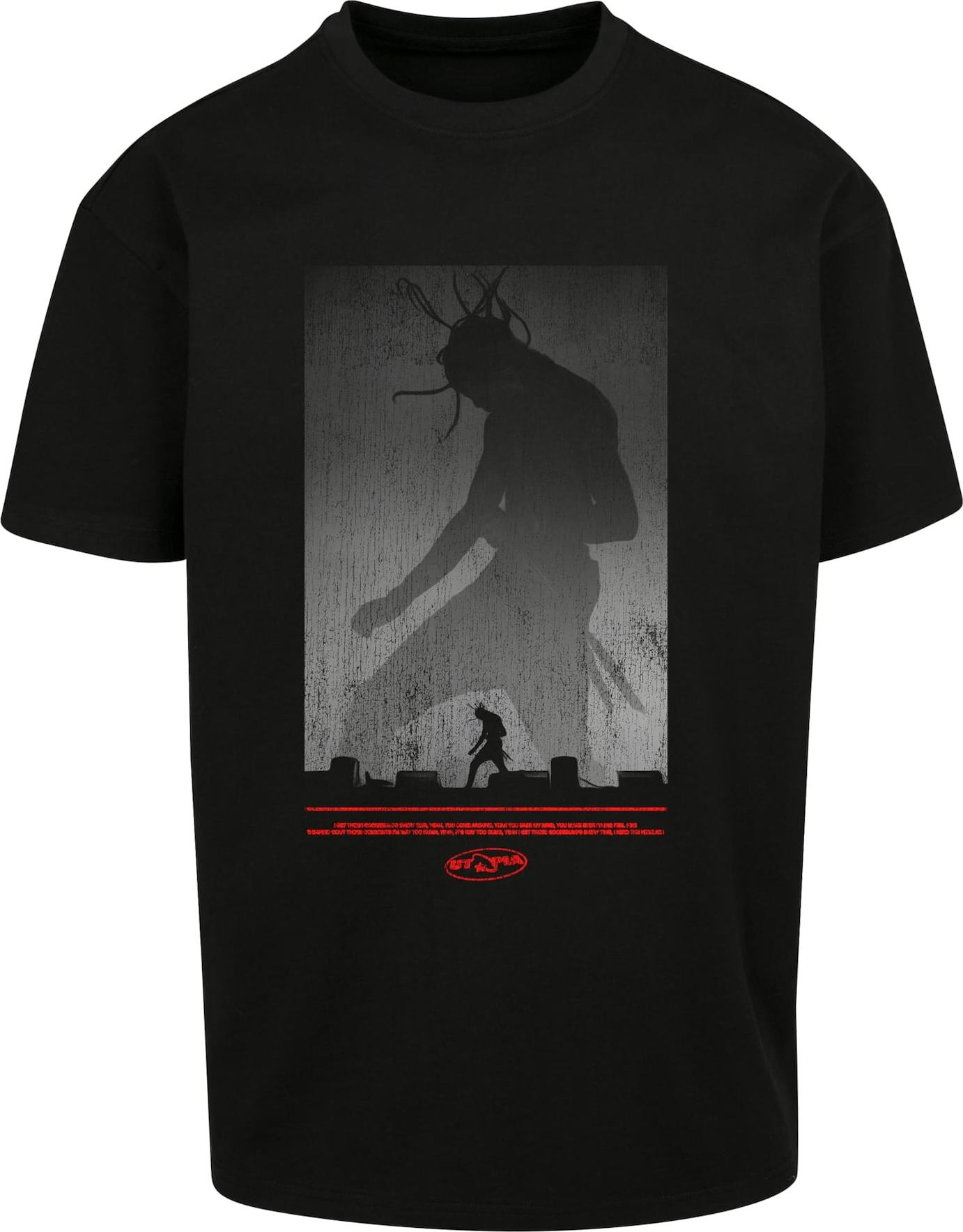 Mister Tee Tričko 'Cannot Change' šedá / světle červená / černá / bílá