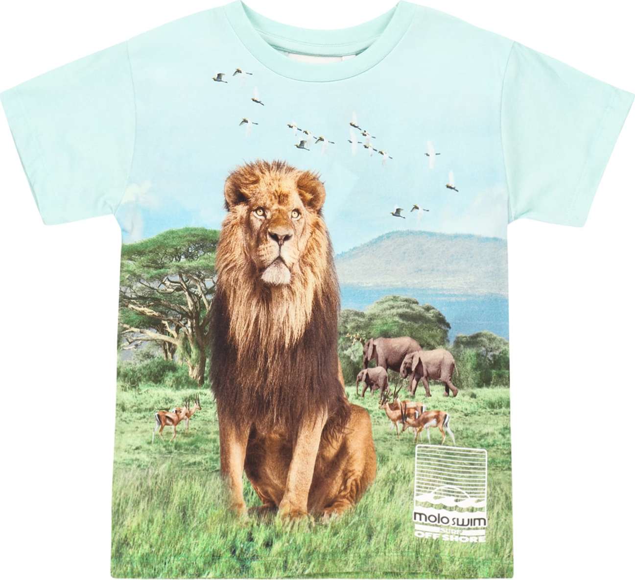 Molo Tričko 'Raul' mix barev