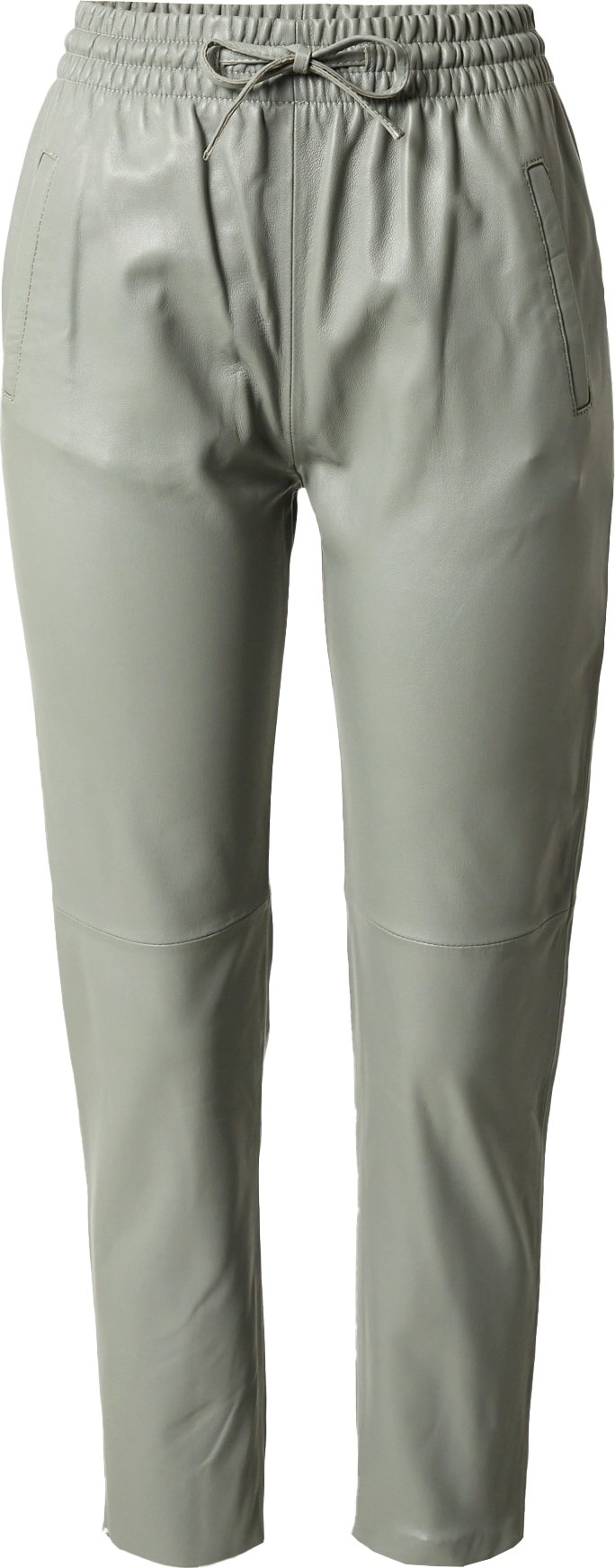OAKWOOD Kalhoty 'GIFT' pastelově zelená
