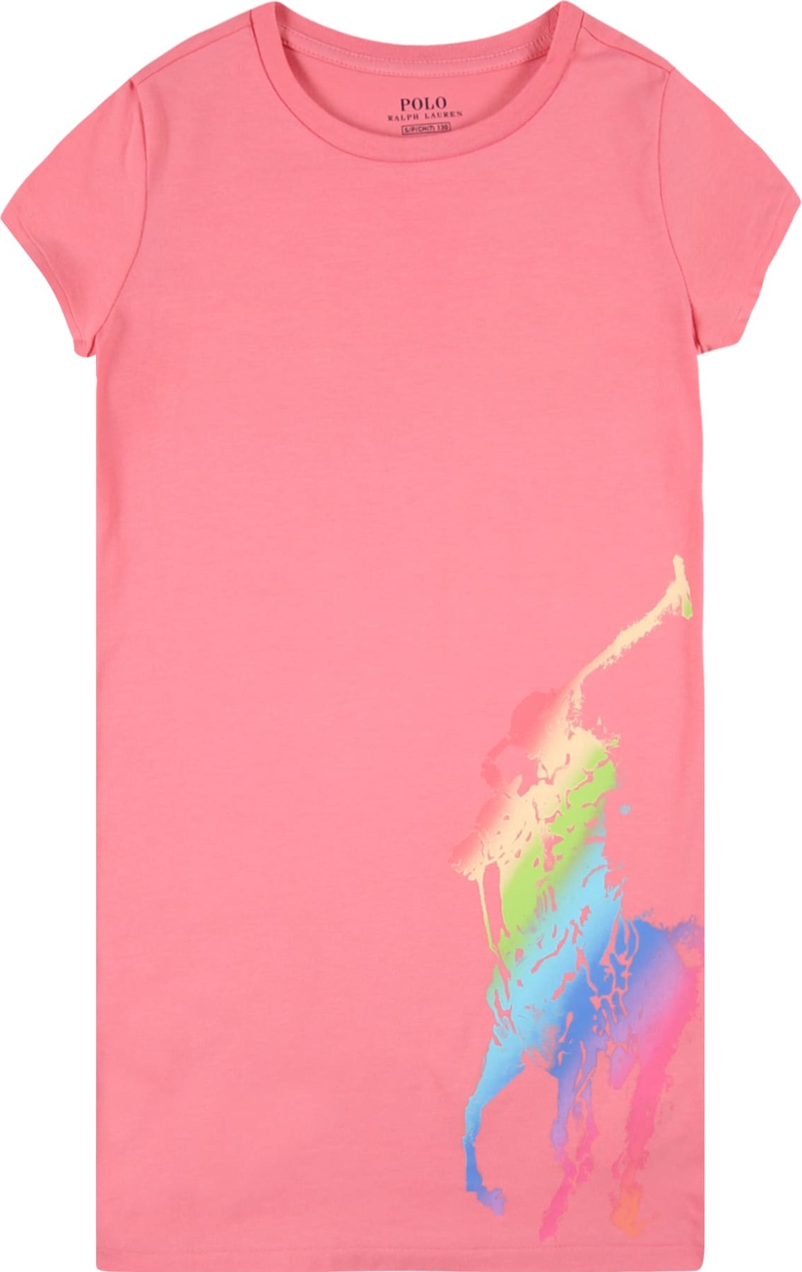 Polo Ralph Lauren Šaty mix barev / starorůžová