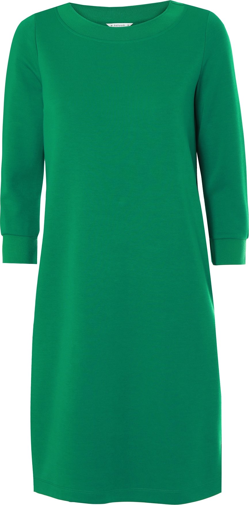 TATUUM Šaty 'NISOTO' zelená