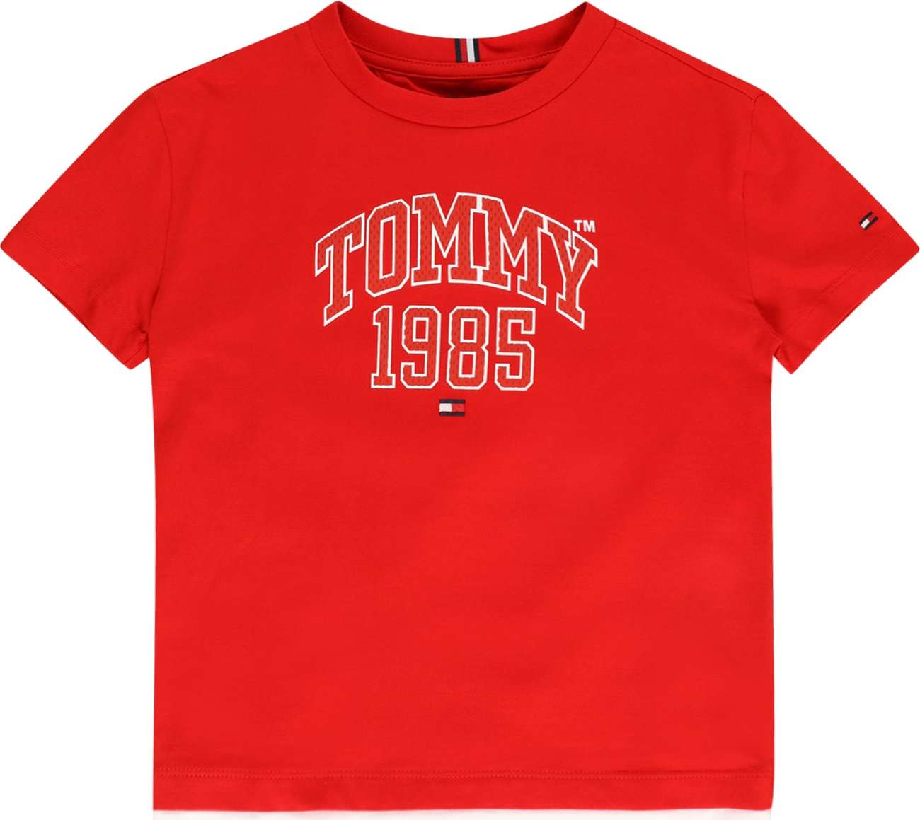 TOMMY HILFIGER Tričko krvavě červená / bílá