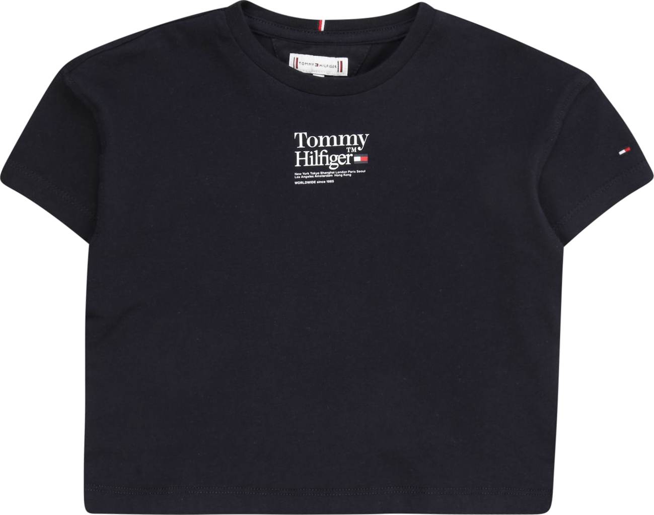 TOMMY HILFIGER Tričko námořnická modř / červená / bílá