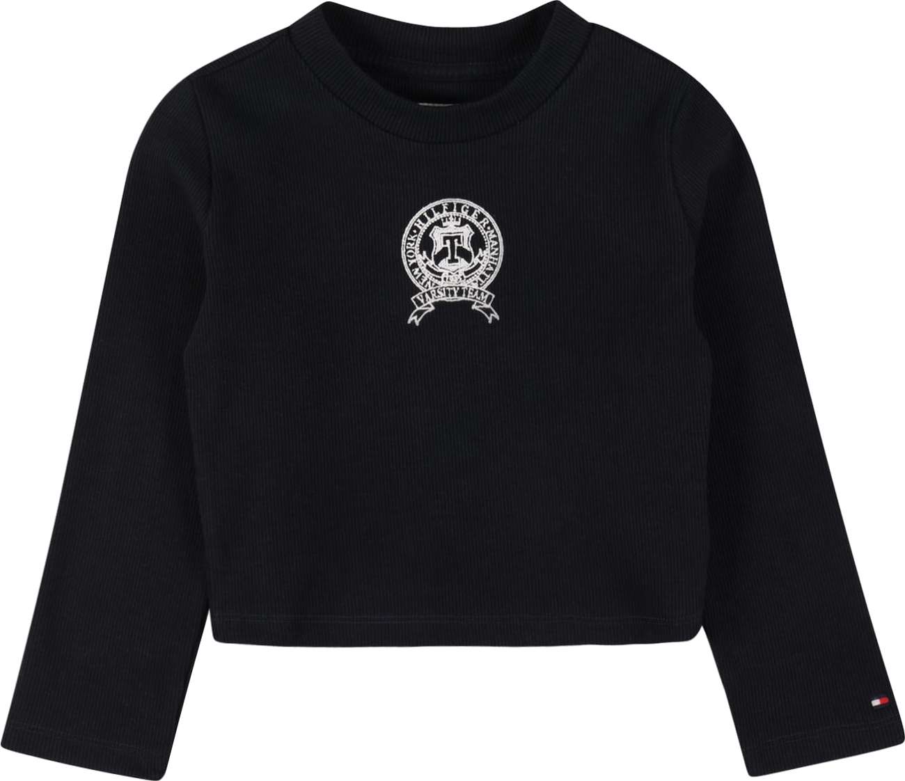 TOMMY HILFIGER Tričko tmavě modrá / bílá