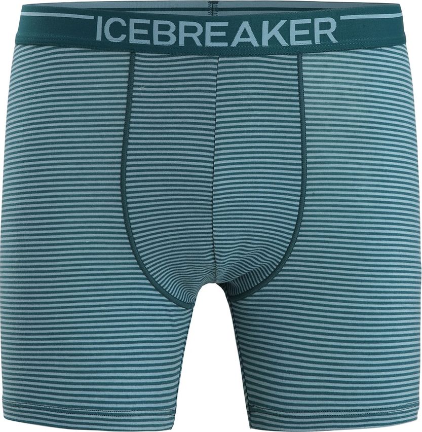 ICEBREAKER Sportovní spodní prádlo 'Anatomica' zelená / bílá