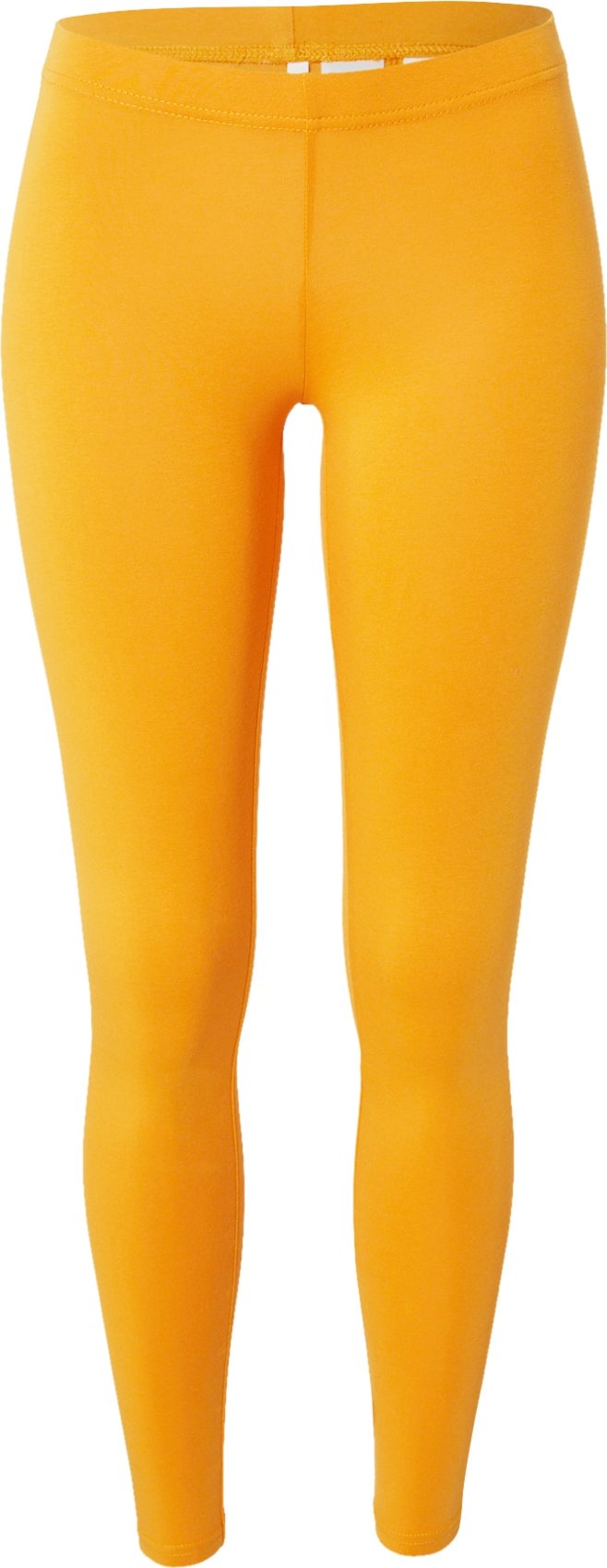 Blutsgeschwister Legíny 'Lovely' šafrán