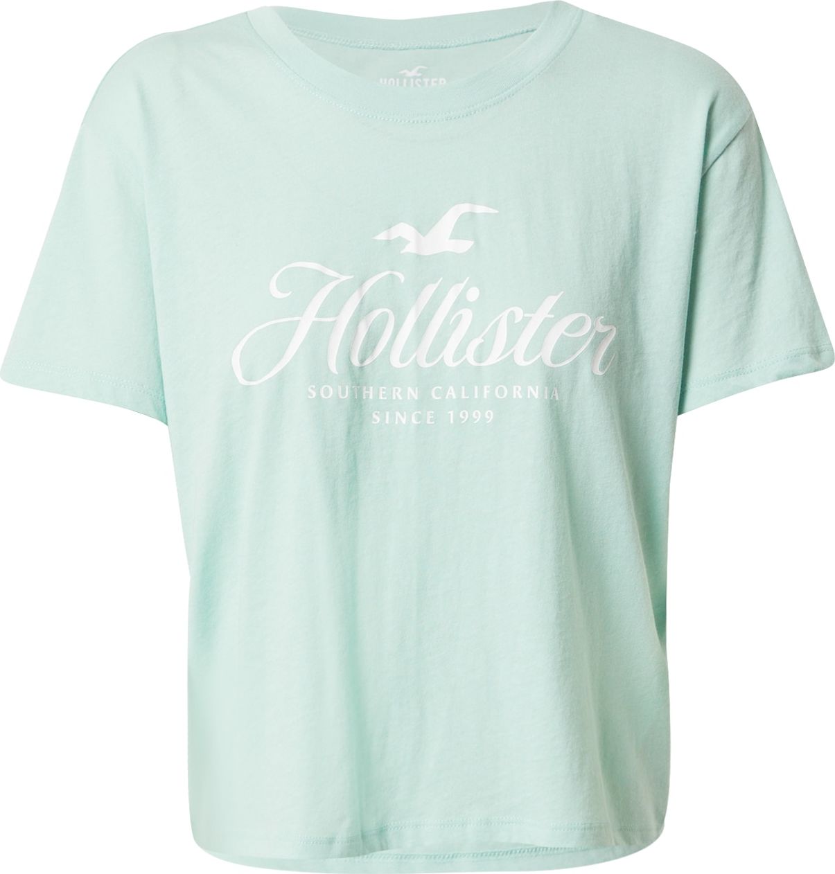 HOLLISTER Tričko pastelově zelená / bílá