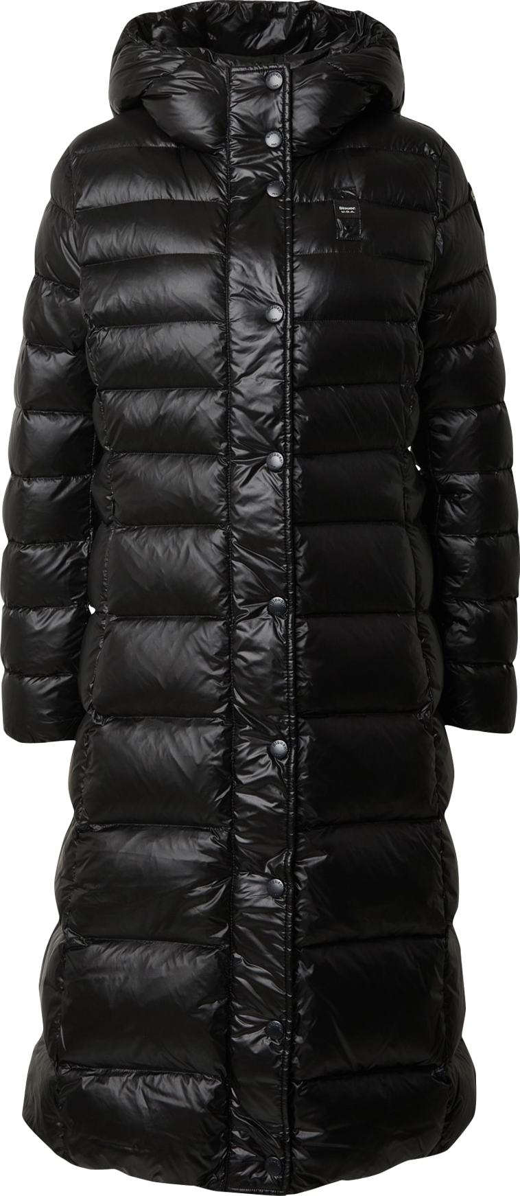 Zimní kabát Blauer.USA černá
