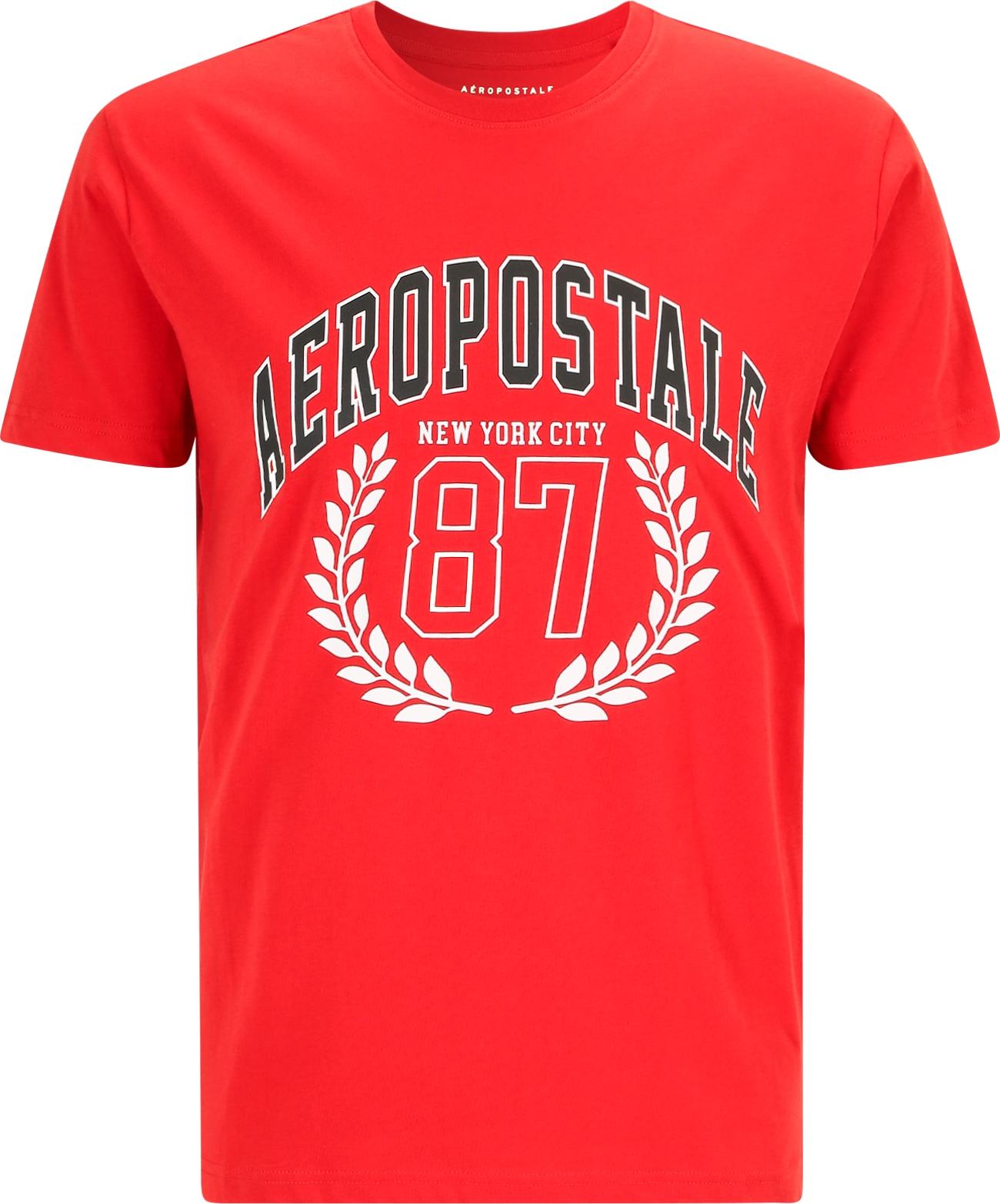 Tričko AÉROPOSTALE burgundská červeň / černá / bílá