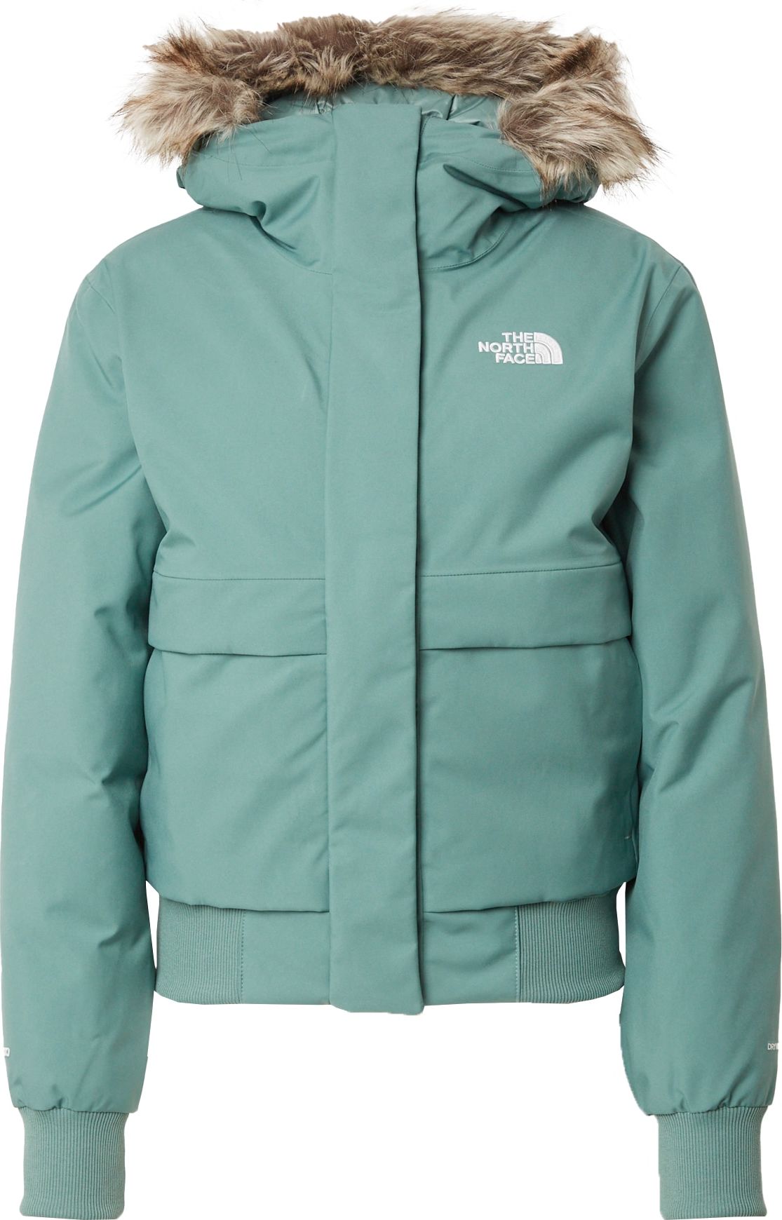 Outdoorová bunda 'ARCTIC' The North Face pastelově zelená / bílá