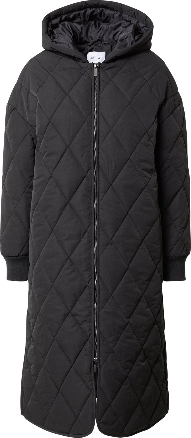 Přechodný kabát 'Darja' ABOUT YOU černá