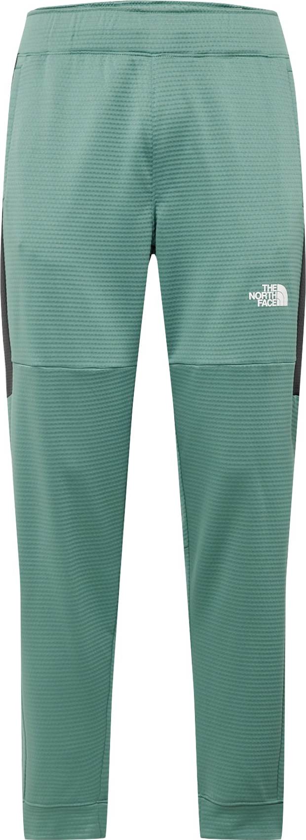 Sportovní kalhoty The North Face zelená / černá / bílá