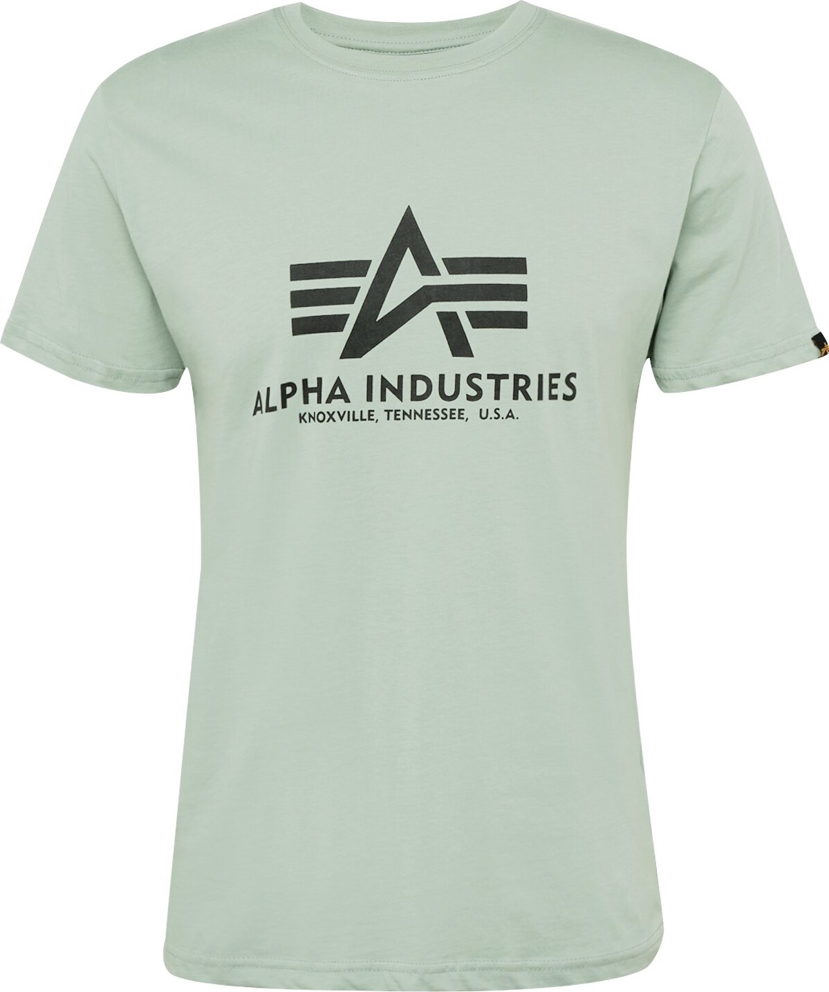 Tričko alpha industries pastelově zelená / černá