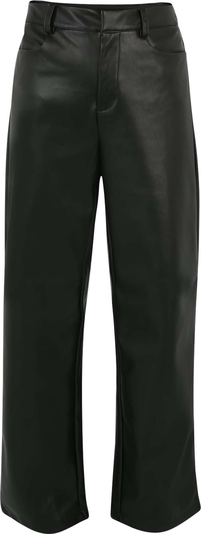 Kalhoty 'ANDY YOLANDA' Noisy May Petite černá